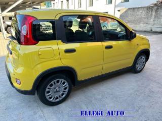 FIAT Panda usata, con Controllo trazione
