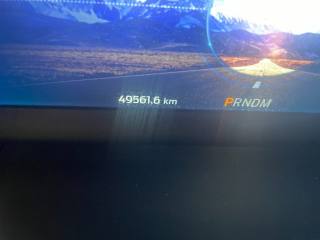 FORD Kuga usata, con Fendinebbia