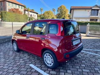 FIAT Panda usata, con Autoradio