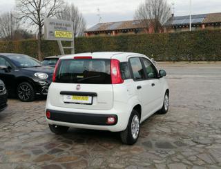 FIAT Panda usata, con Airbag Passeggero