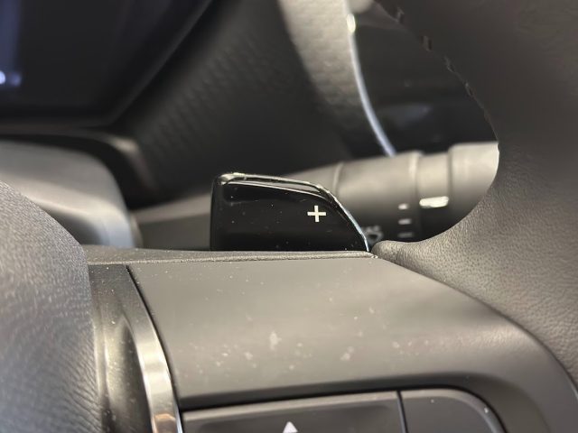 CITROEN C5 X usata, con Volante in pelle