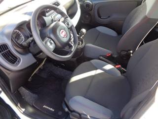 FIAT Panda usata, con Alzacristalli elettrici