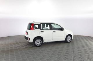 FIAT Panda usata 2