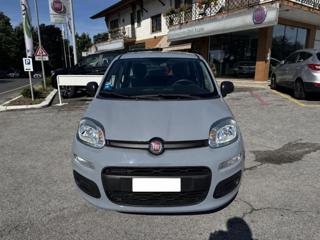 FIAT Panda usata, con Controllo trazione