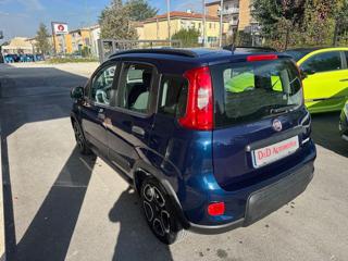 FIAT Panda usata, con Chiusura centralizzata