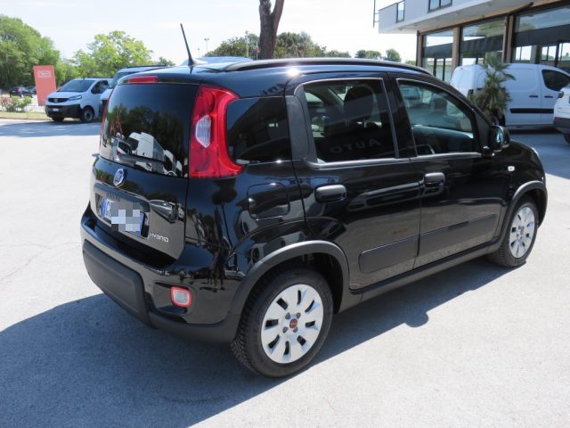 FIAT Panda usata, con Antifurto