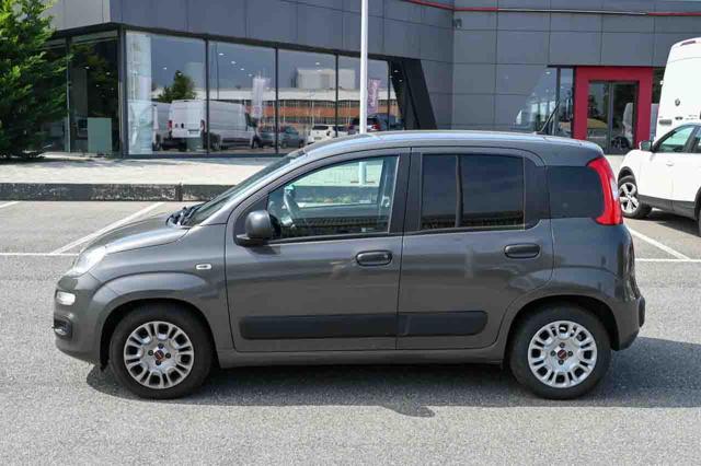 FIAT Panda usata, con Airbag testa