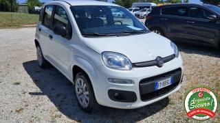 FIAT Panda usata, con ESP