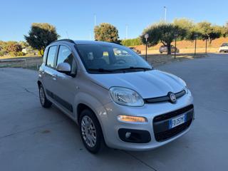 FIAT Panda usata 30
