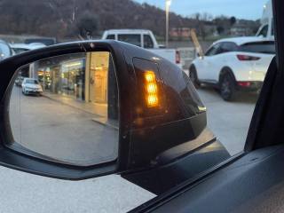 AUDI SQ5 usata, con Luci diurne LED