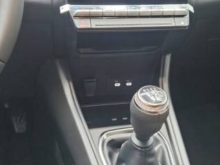 RENAULT Captur usata, con USB