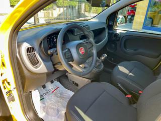 FIAT Panda usata, con Climatizzatore