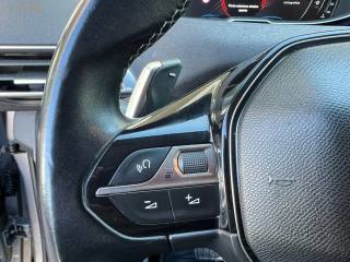 PEUGEOT 3008 usata 14