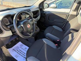 FIAT Panda usata, con Controllo trazione