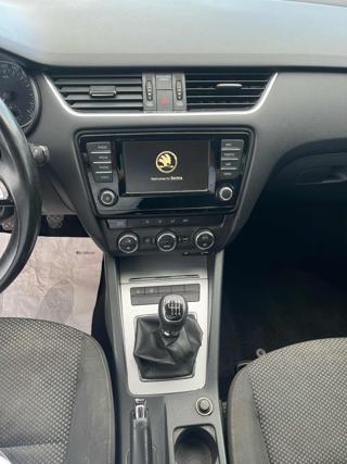 SKODA Octavia usata, con Fendinebbia