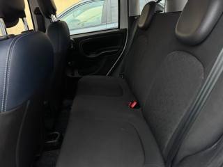 FIAT Panda Cross usata, con Fendinebbia
