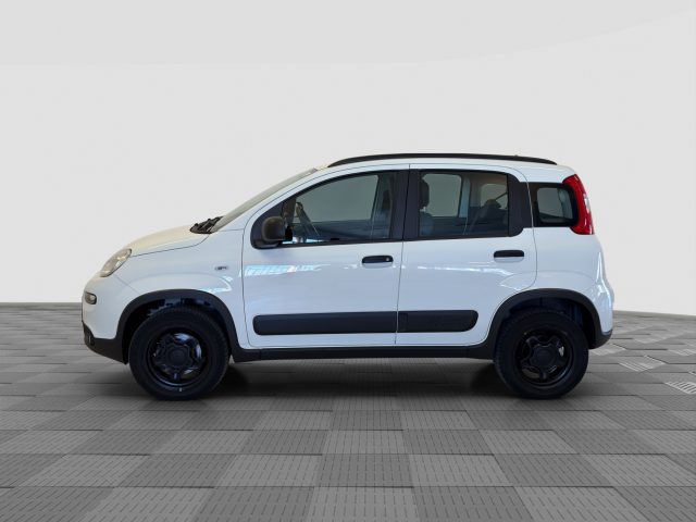 FIAT Panda usata 1