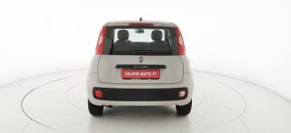 FIAT Panda usata 29