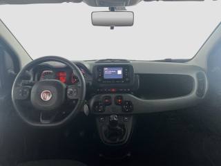 FIAT Panda usata 10