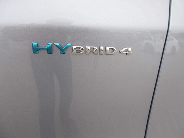 PEUGEOT 3008 usata, con Fendinebbia