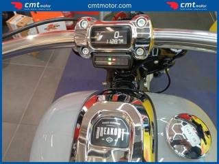 HARLEY-DAVIDSON Other usata 4