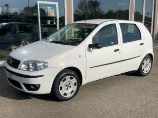 FIAT Punto usata 6