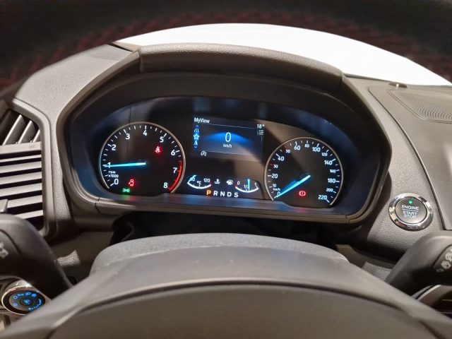 FORD EcoSport usata, con Bracciolo