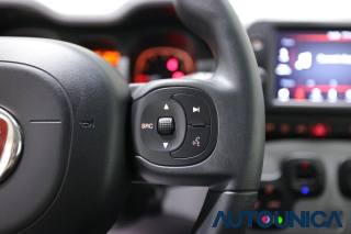 FIAT Panda usata 21