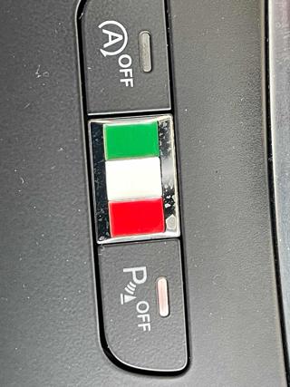 ALFA ROMEO Tonale usata 25