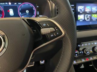 SKODA Karoq usata, con Cronologia tagliandi