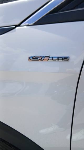 PEUGEOT 3008 usata, con Cruise Control