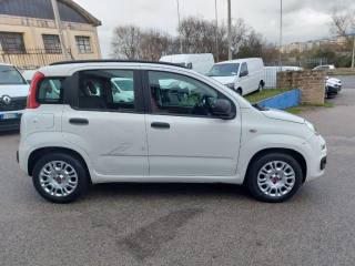 FIAT Panda usata, con Chiusura centralizzata