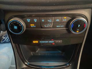 FORD Puma usata, con Cronologia tagliandi