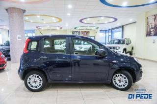 FIAT Panda usata, con Interni in pelle