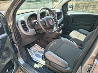 FIAT Panda usata, con Controllo trazione
