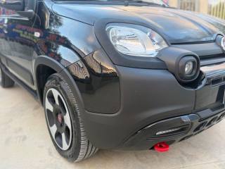 FIAT Panda Cross usata, con Fendinebbia