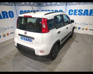 FIAT New Panda usata, con Airbag Passeggero