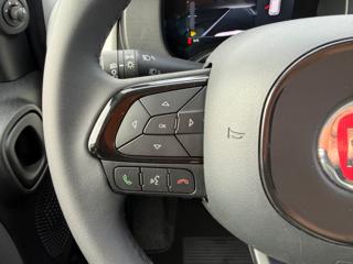 FIAT Panda Cross usata, con Servosterzo