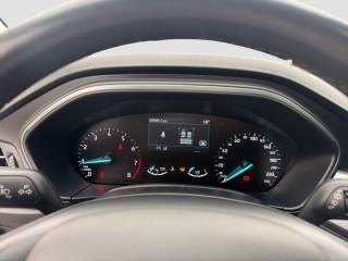 FORD Focus usata 14