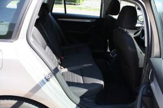 SKODA Octavia usata, con ESP
