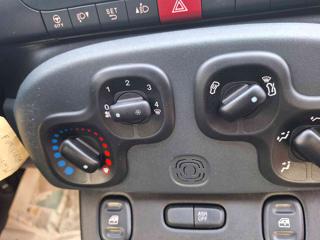 FIAT Panda usata 12