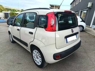 FIAT Panda usata 5