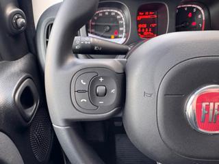 FIAT Panda usata, con Controllo vocale