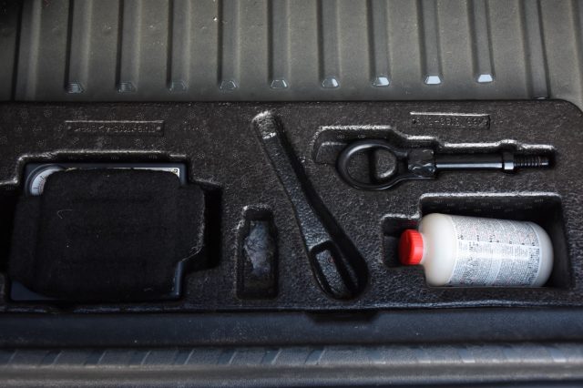 FORD EcoSport usata, con Interni in pelle