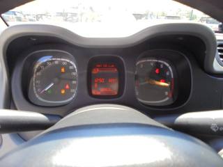 FIAT Panda usata 34