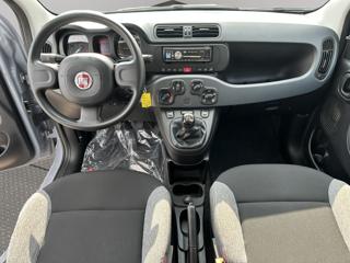 FIAT Panda usata, con Cronologia tagliandi