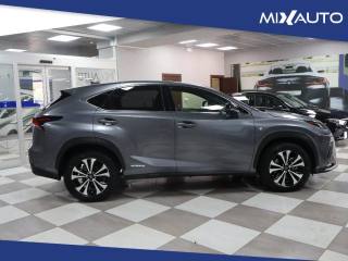 LEXUS NX 300 usata, con Airbag laterali