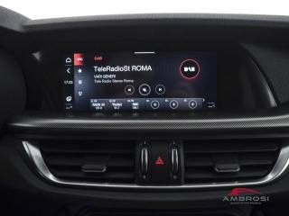 ALFA ROMEO Stelvio usata 13