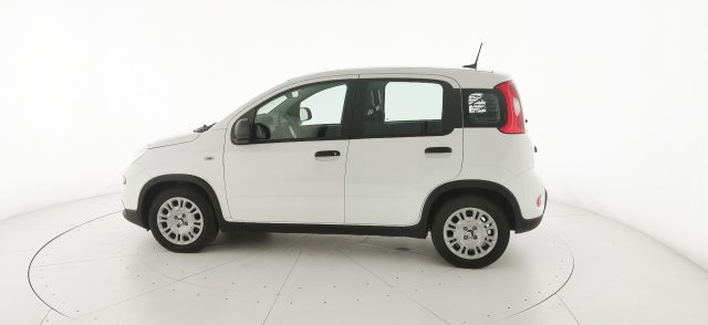 FIAT Panda usata 29
