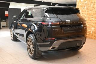 LAND ROVER Range Rover Evoque usata 80